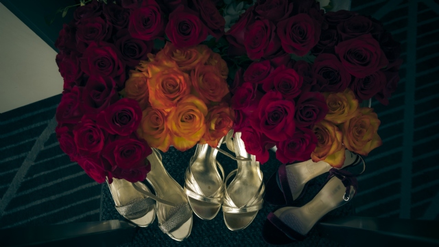 Montreal Wedding, Mitzvah Specialists | Montreal's Wedding & event producers - live performers, DJ's for weddings, MC's, dancers, wedding / event rentals, lighting for your Wedding & special moments.